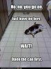 funny-pictures-lazy-cat-is-hungry.jpg