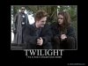 633839569142980630-Twilight.jpg