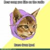 memes-hear-song-you-like-on-the-radio-erase-from-ipod.jpg